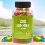 Bloom CBD Gummies Reviews – Assessing the Impact of Ingredients