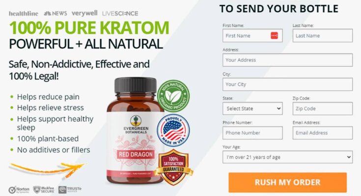 Evergreen Botanicals Red Dragon