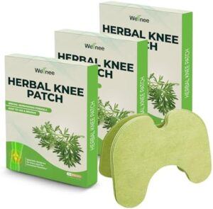 Wellnee Pain Relief Patches 